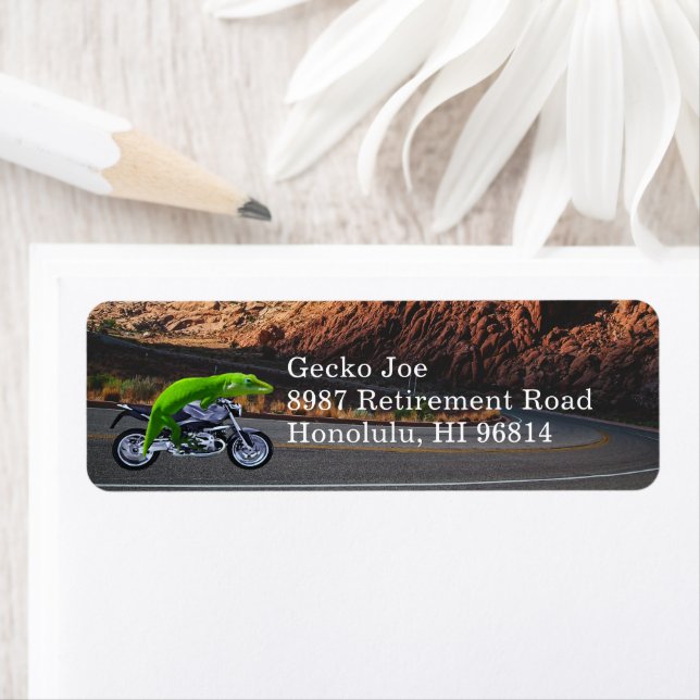 Aller À La Retraite Gecko Adresse Moto (En situation)