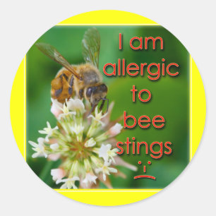Allergic to bee stings - great for kids at camp classic round sticker
