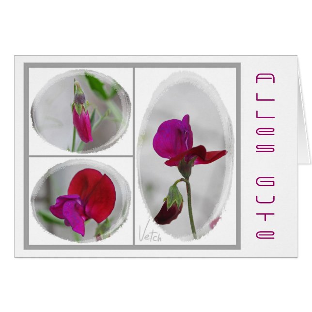 Alles Gute (Devant horizontal)