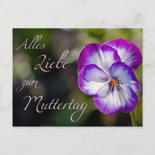 Alles Liebe zum Muttertag Postcard
