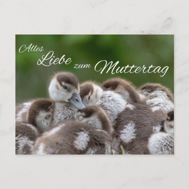 Alles Liebe zum Muttertag Postcard (Front)