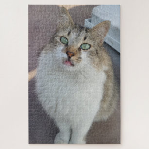 Alley Cat Jigsaw Puzzle