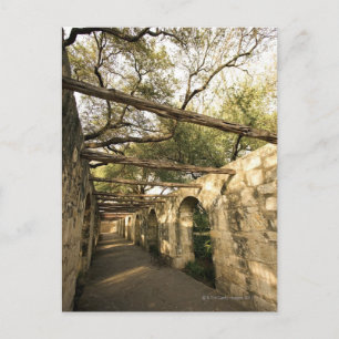 Alley in San Antonio, Texas Postcard