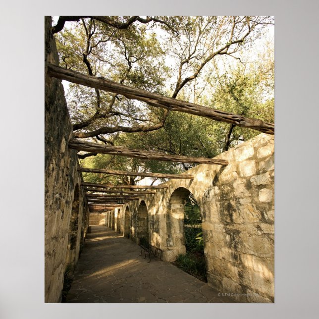 Alley in San Antonio, Texas Poster (Front)