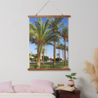 Alley of date palms in the city of Sharm El Sheikh