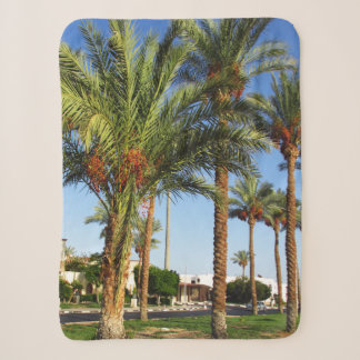 Alley of date palms in the city of Sharm El Sheikh Sherpa Blanket
