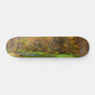 Alley Spring Autumn Water Skateboard