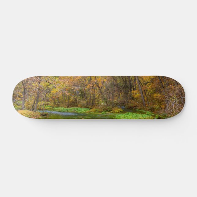 Alley Spring Autumn Water Skateboard (Horz)