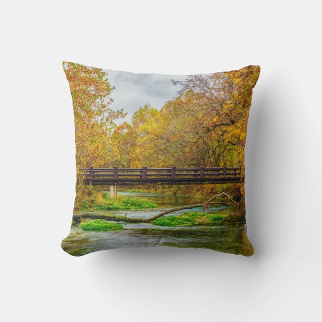 Alley Spring River Throw Pillow (Front)