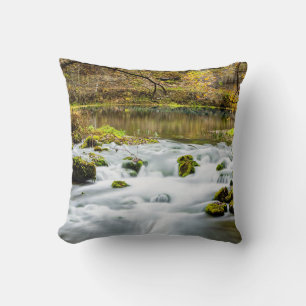 Alley Springs Rapids Throw Pillow