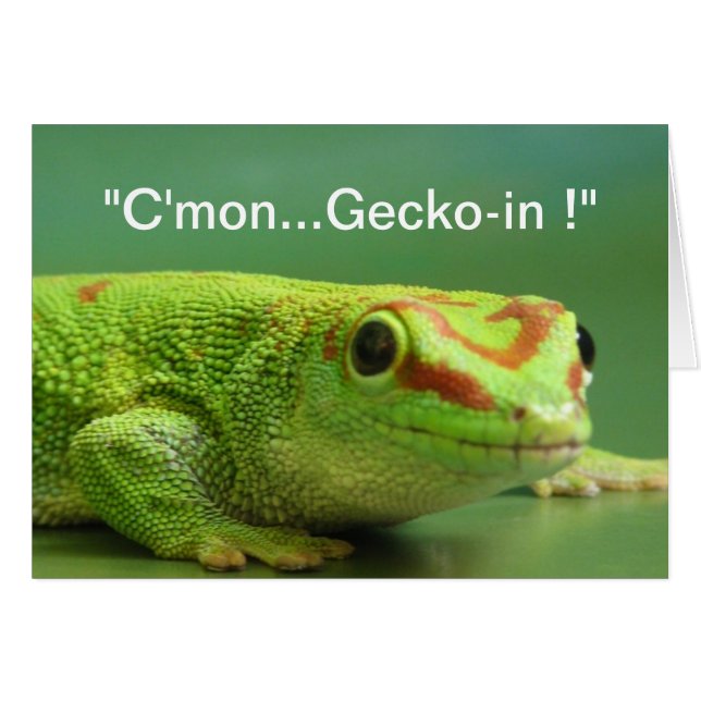 "Allez...Gecko-in !" (Devant horizontal)