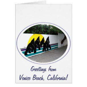 Allez Gorillas, Allez !