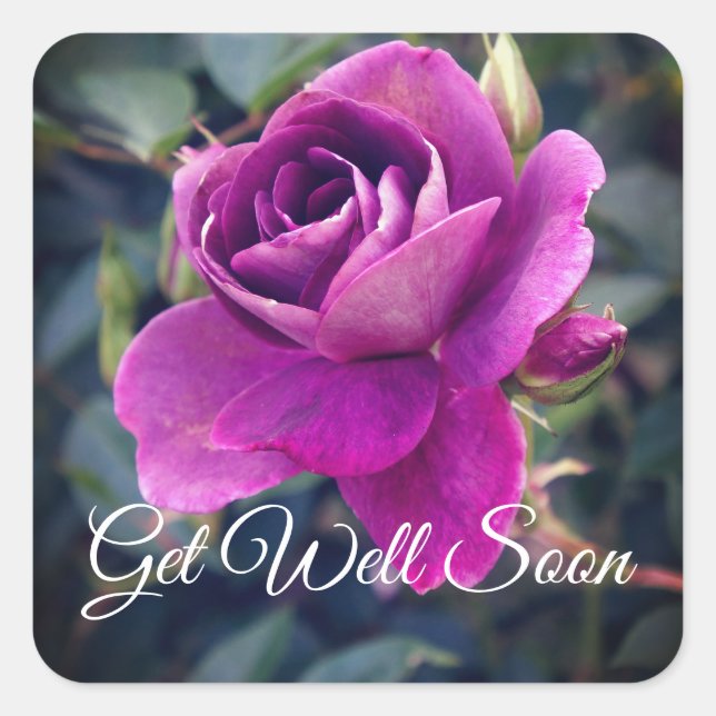 Allez-y Bientôt Burgundy Iceberg #2-2 Stickers (Devant)