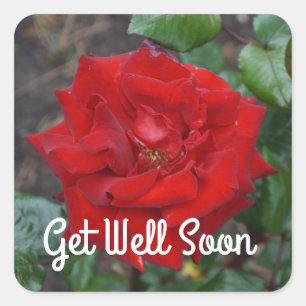 Allez-y Bientôt, Stickers Rose no 3 Crimson Bouque