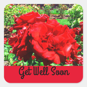 Allez-y Bientôt, Stickers Rose rouge #1