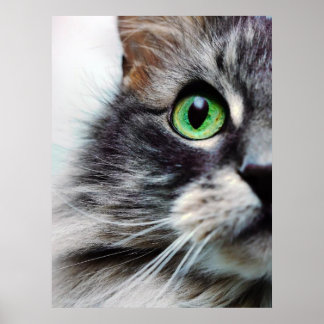 Allie (Half Face) Poster