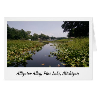 Alligator Alley - Pine Lake