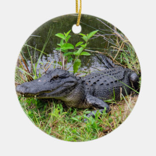 Alligator and roseate spoonbill ornament