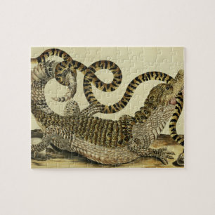 Alligator and Snake, 1730 (coloured engraving) Jigsaw Puzzle