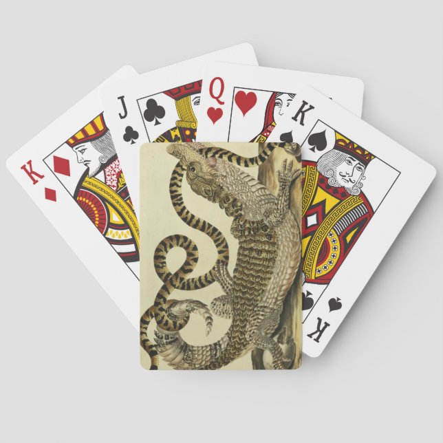 Alligator and Snake, 1730 (coloured engraving) Playing Cards (Back)