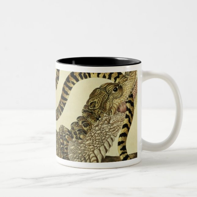 Alligator and Snake, 1730 (coloured engraving) Two-Tone Coffee Mug (Right)