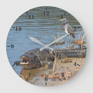 Alligator and Tricolored heron Large Clock