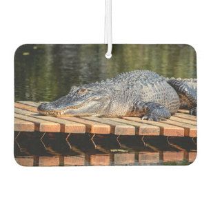 Alligator at Homosassa Springs Wildlife State Park Car Air Freshener