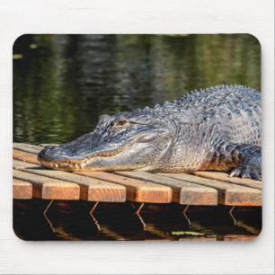 Alligator at Homosassa Springs Wildlife State Park Mouse Pad