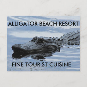 Alligator Beach Resort Postcard