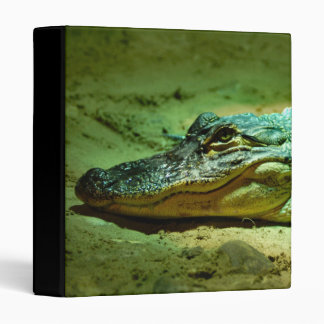 Alligator Binder