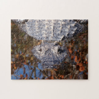 Alligator - Careful! Jigsaw Puzzle