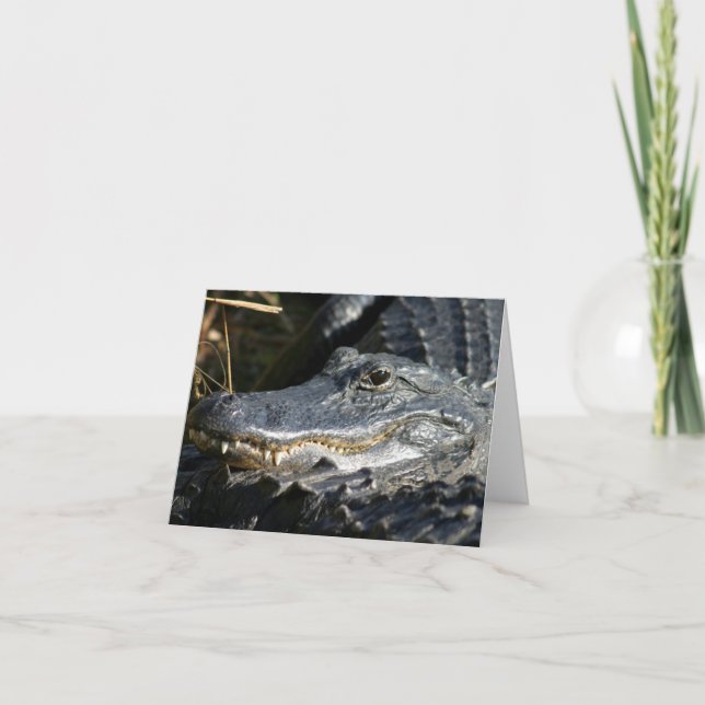 Alligator, Carte pour notes vierge Everglades (Devant)