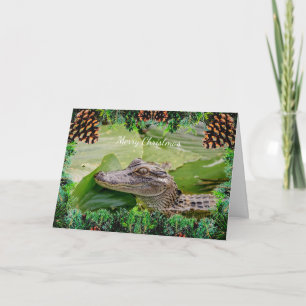 Alligator Christmas Card