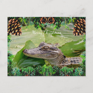 Alligator Christmas Card