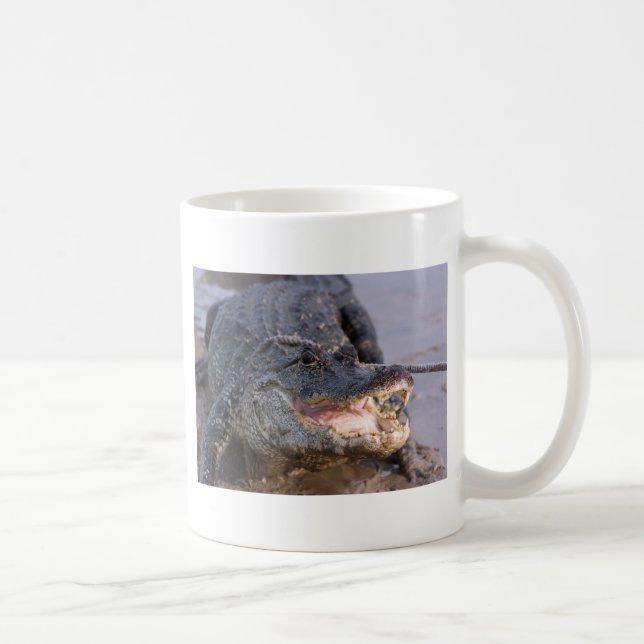 Alligator Coffee Mug (Right)
