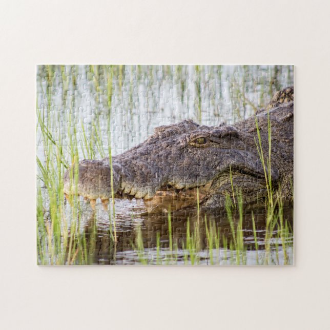 Alligator Crocodiles Wildlife Africa Jigsaw Puzzle (Horizontal)