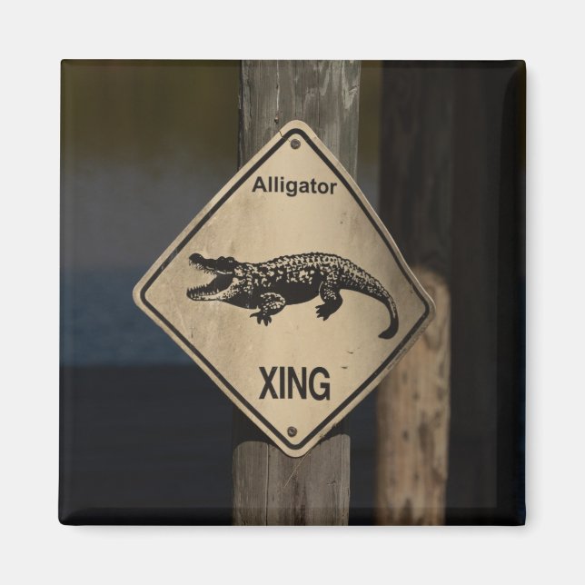 Alligator Crossing Magnet (Front)