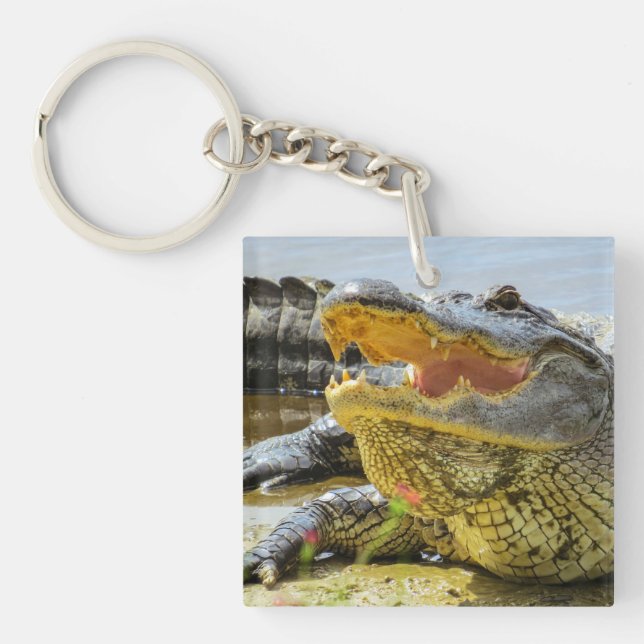 Alligator. Face to face Keychain (Front)