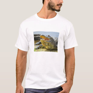 Alligator. Face to face T-Shirt