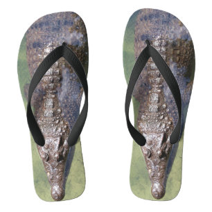 Alligator flipflops