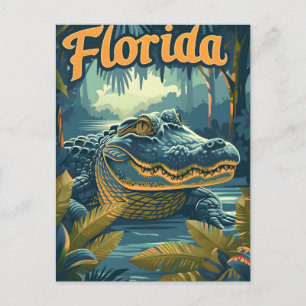 Alligator Florida Everglades Postcard