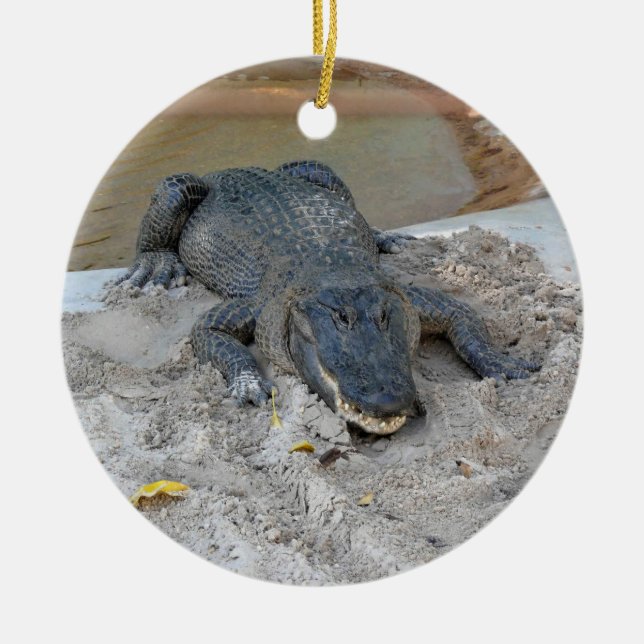 Alligator, Fort Lauderdale, Florida Ceramic Ornament (Front)
