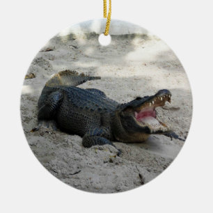 Alligator, Fort Lauderdale, Florida Ceramic Ornament