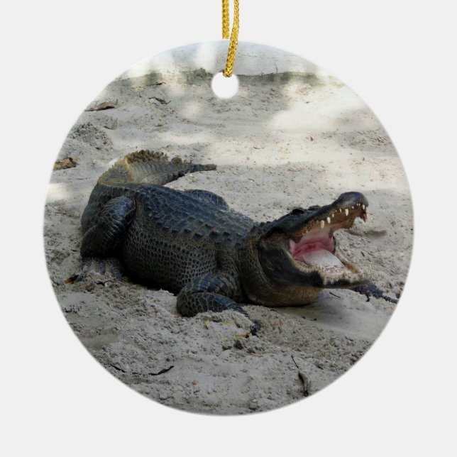 Alligator, Fort Lauderdale, Florida Ceramic Ornament (Front)