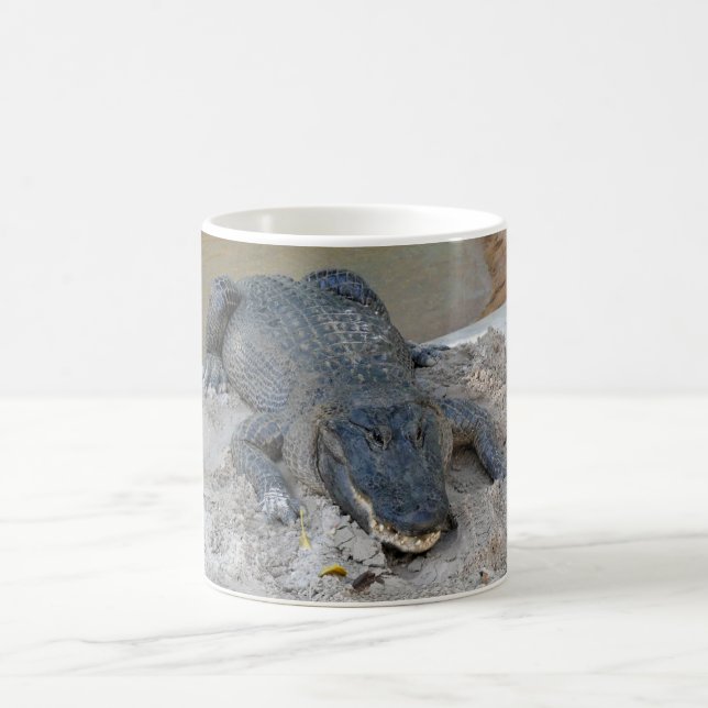 Alligator, Fort Lauderdale, Florida Coffee Mug (Center)