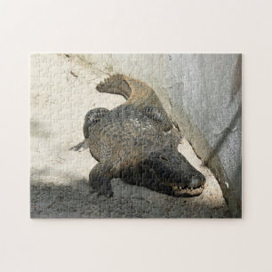 Alligator, Fort Lauderdale, Florida Jigsaw Puzzle