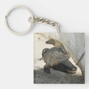 Alligator, Fort Lauderdale, Florida Keychain