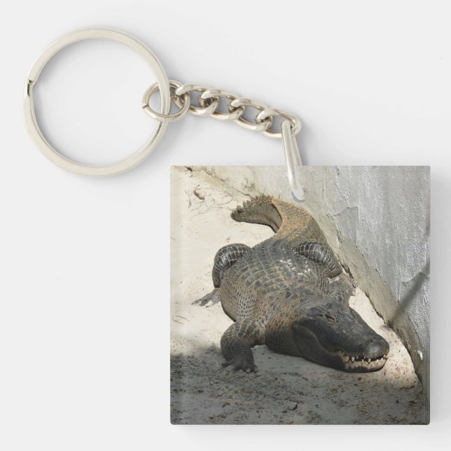Alligator, Fort Lauderdale, Florida Keychain (Front)