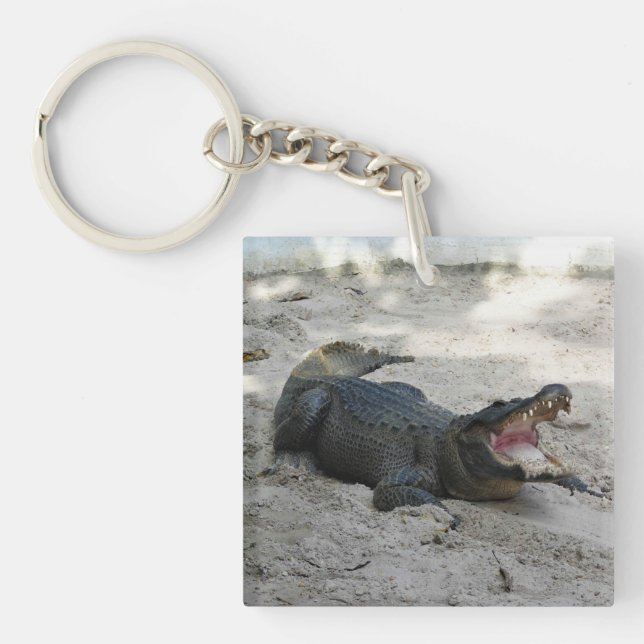 Alligator, Fort Lauderdale, Florida Keychain (Front)