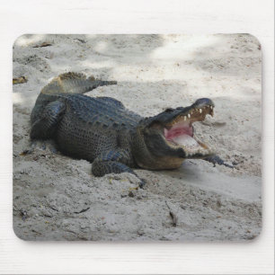 Alligator, Fort Lauderdale, Florida Mouse Pad